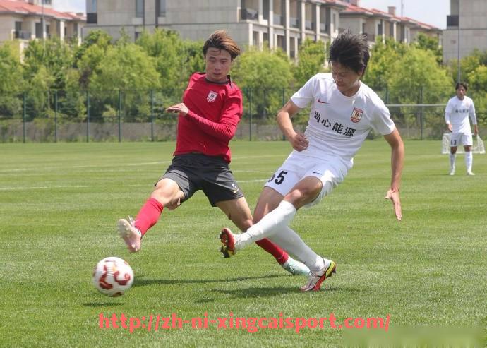 杏彩体育-世俱杯比赛中球员情绪管理的重要性及相关研究探讨