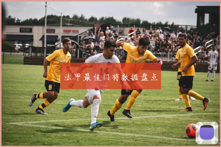 法甲最佳门将数据盘点