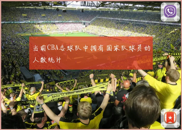 当前CBA各球队中拥有国家队球员的人数统计