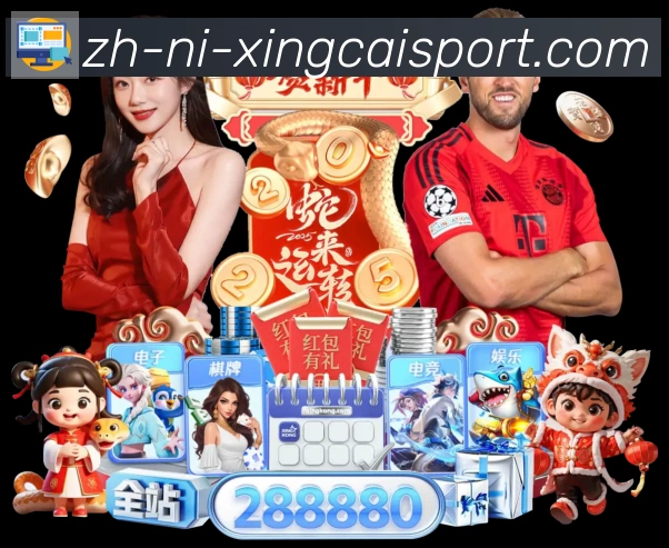 未来规划