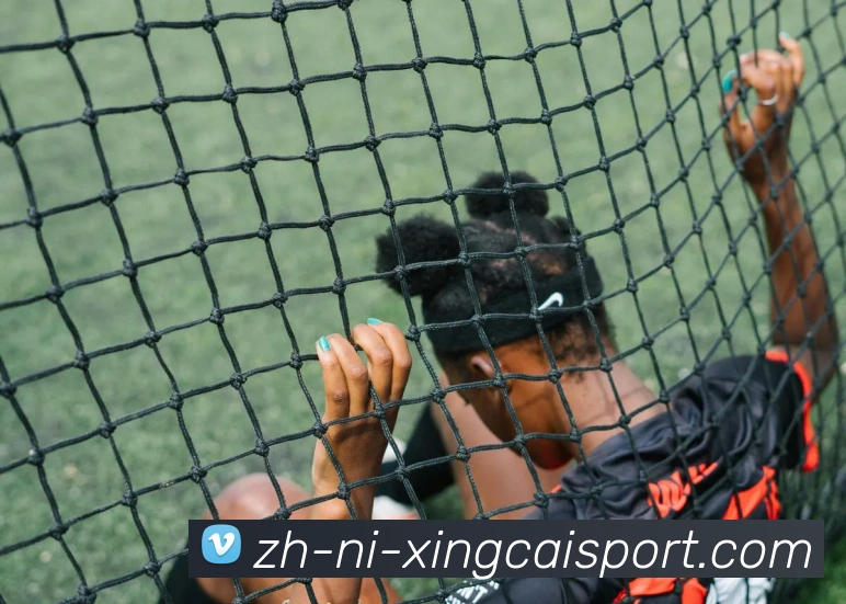 多媒体互动体验