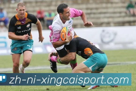 杏彩体育APP 高清赛事图